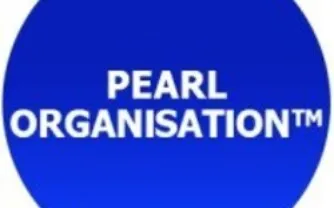 Transforming Digital Landscapes: A Look at Pearl Organisation