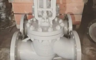 Globe Valve Supplier in Dubai