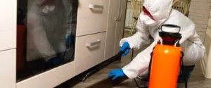Signs You Need Pest Control Services in Hyderabad Immediately 1 Pest Control Services in Hyderabad