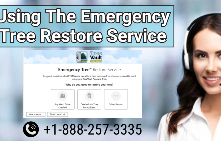 Emergency-Tree-Restore-Service