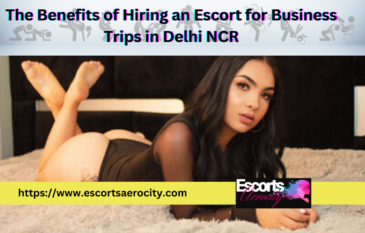 The Benefits of Hiring an Escort for Business Trips in Delhi NCR
