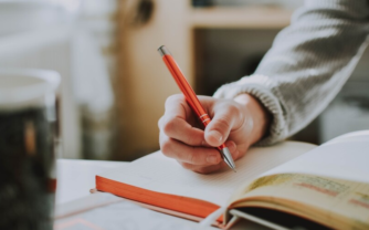 University Assignment Help Newzealand