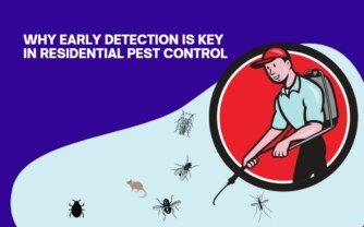 Why Early Detection is Key in Residential Pest Control