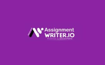How do professional assignment help services work?