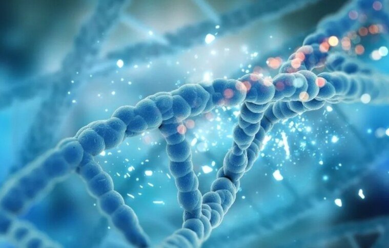 Gene Synthesis: How DNA Is Assembled to Provide New Insights Into Biology And Medicine