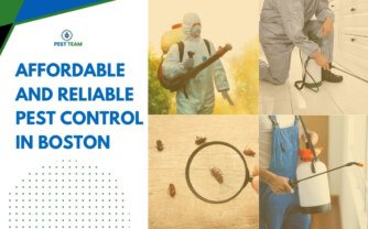 Affordable and Reliable Pest Control in Boston