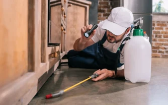 Reliable Pest Control Services & Termite Control in Lahore