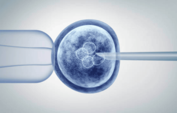 Stem Cells Treatment Dubai: A Revolutionary Approach at Dynasty Clinic