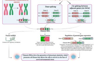 Advancing Detection and Research of Chimeric RNA and Sequencing Technologies