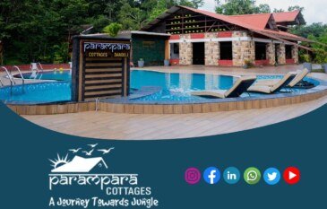 Which Dandeli Resort Offers the Best Jungle Stay Experience?
