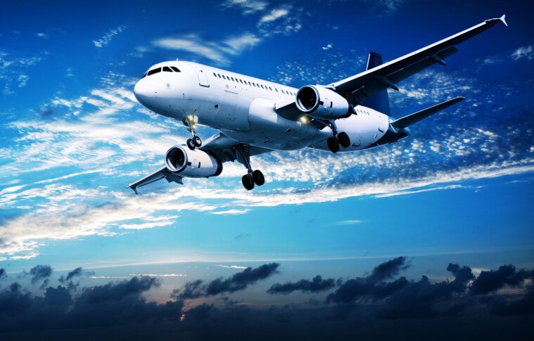 United Airlines SJU Terminal +1-888-839-0502