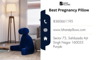 Best Pregnancy Pillow: A Must-Have for Every Expecting Mother