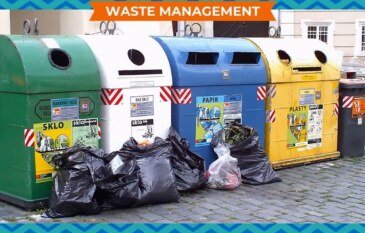 What is the Role of Local Government in Waste Management?