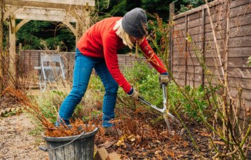 Land Clearing Near Me: Everything You Need to Know