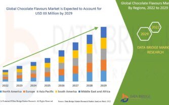 Chocolate Flavours Market Insights: Growth, Share, Value, Size, and Trends