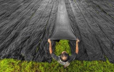 Why UK Contractors Prefer Geotextile Fabric for Weed Control and Ground Stability