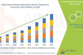 Sepsis Market Trends: Growth, Share, Value, Size, and Analysis