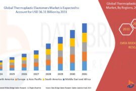 Thermoplastic Elastomers Market Opportunities: Growth, Share, Value, Size, and Scope