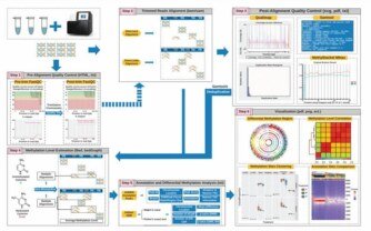 WGBS Data Analysis: Workflow and Performance Evaluation Analysis Software