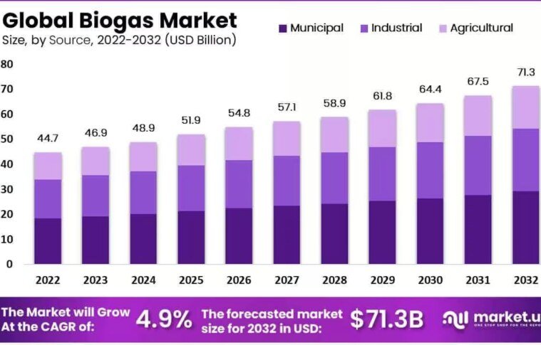 Biogas Market Overview | Industry Segmentation & Forecast